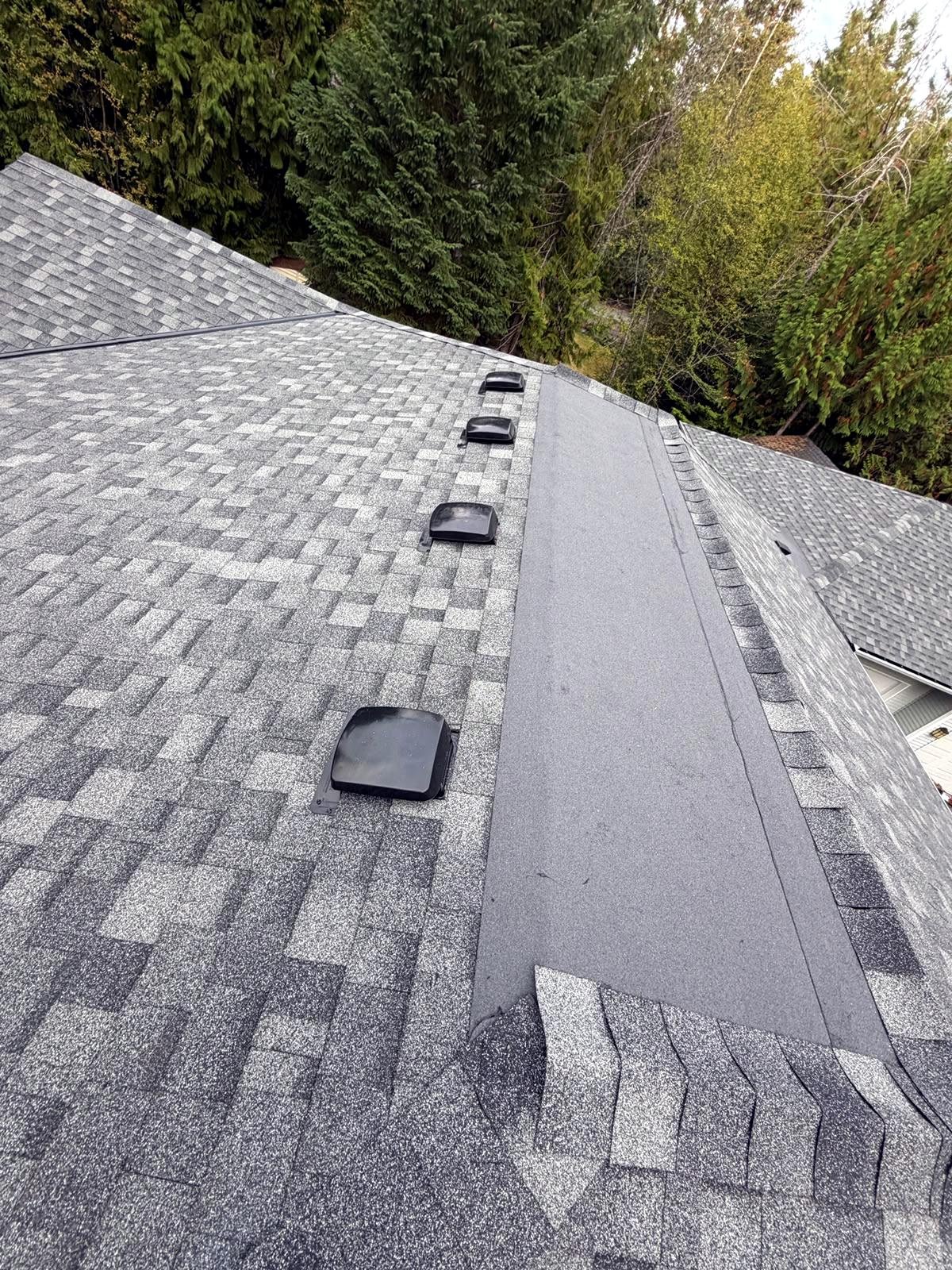 New roof installation by Eco Roofing Ltd on a Vancouver Island home