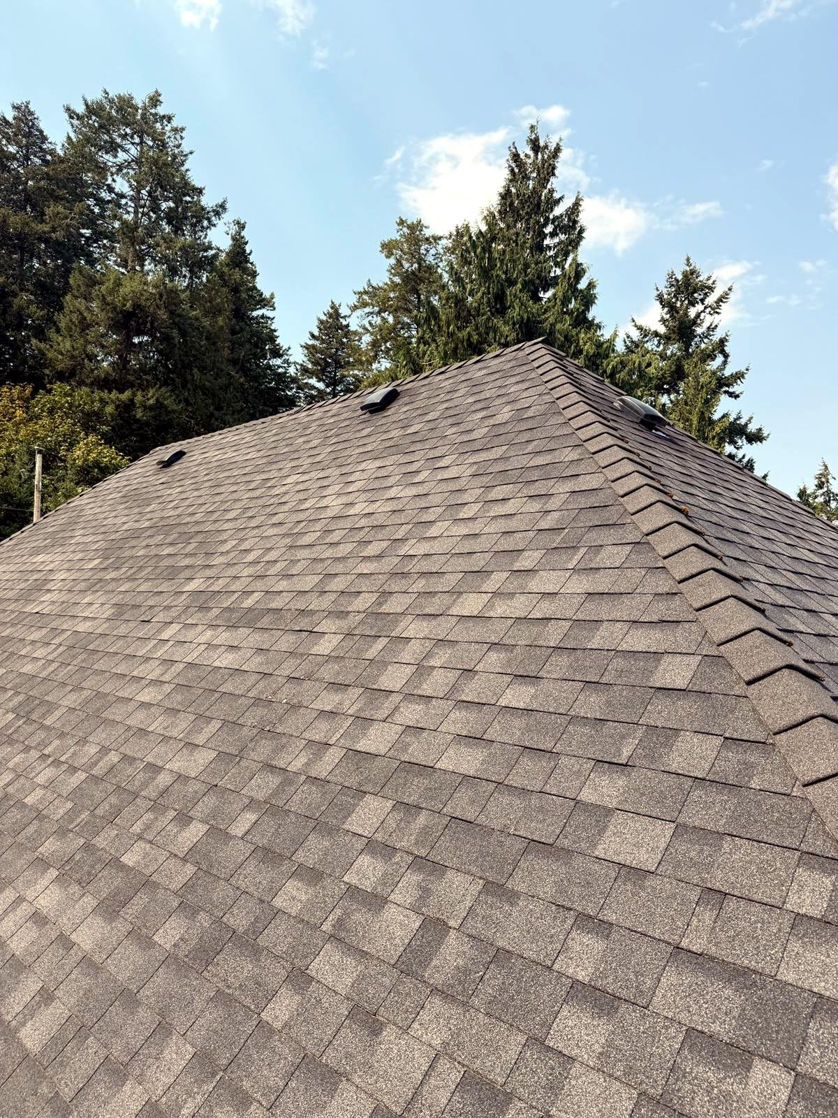 Warm-toned shingle roof with crisp ridge lines in Ladysmith, BC