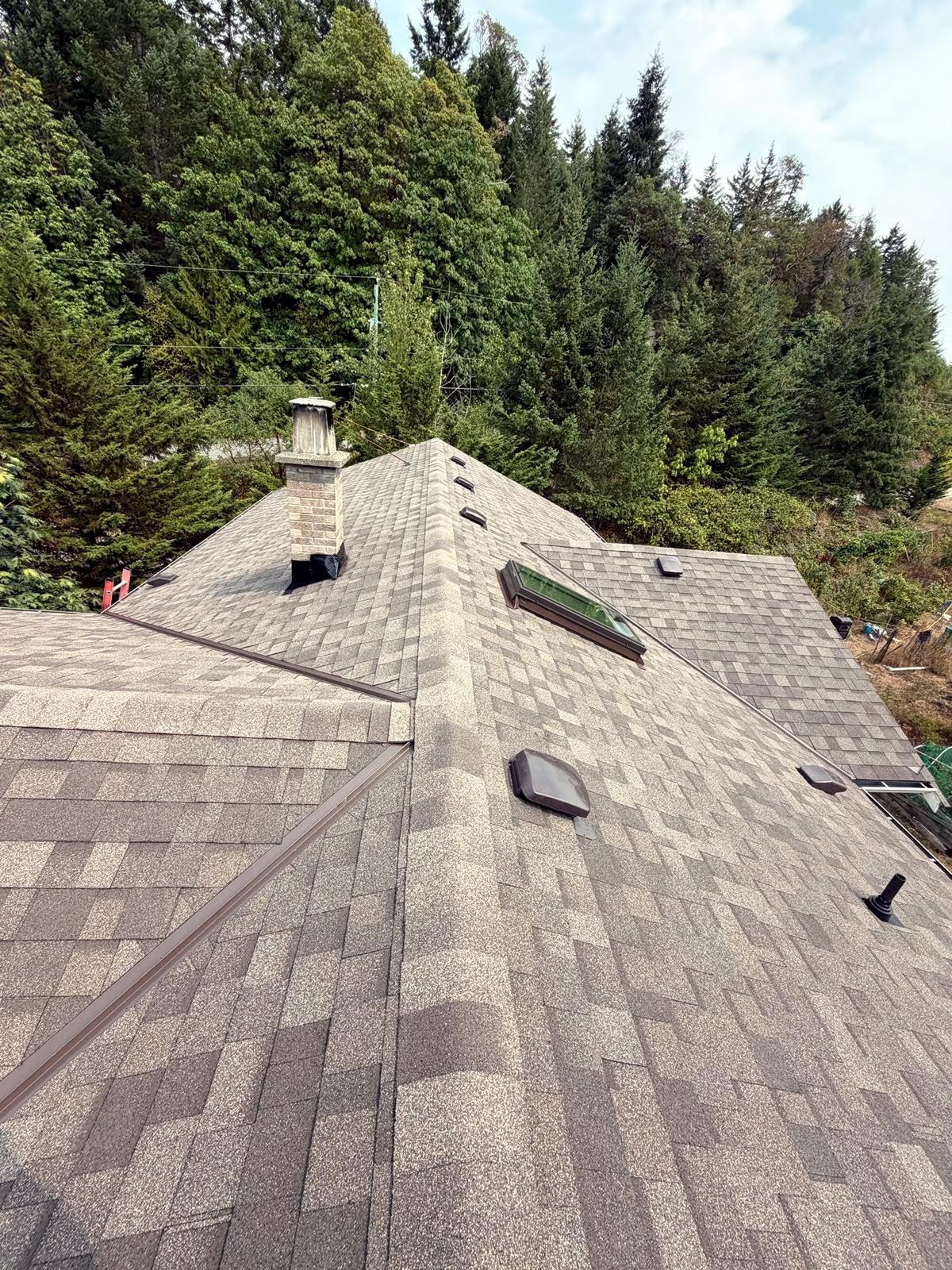 New shingle roof with skylight on a Ladysmith home