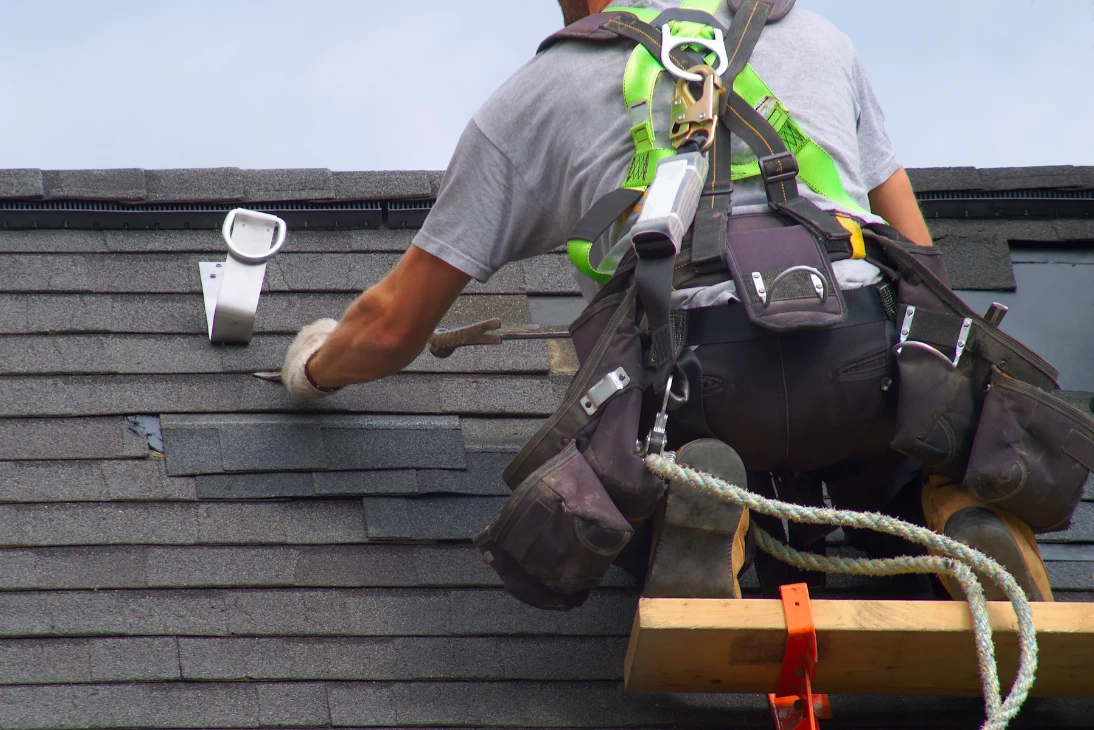 Shingle Roofing Parksville
